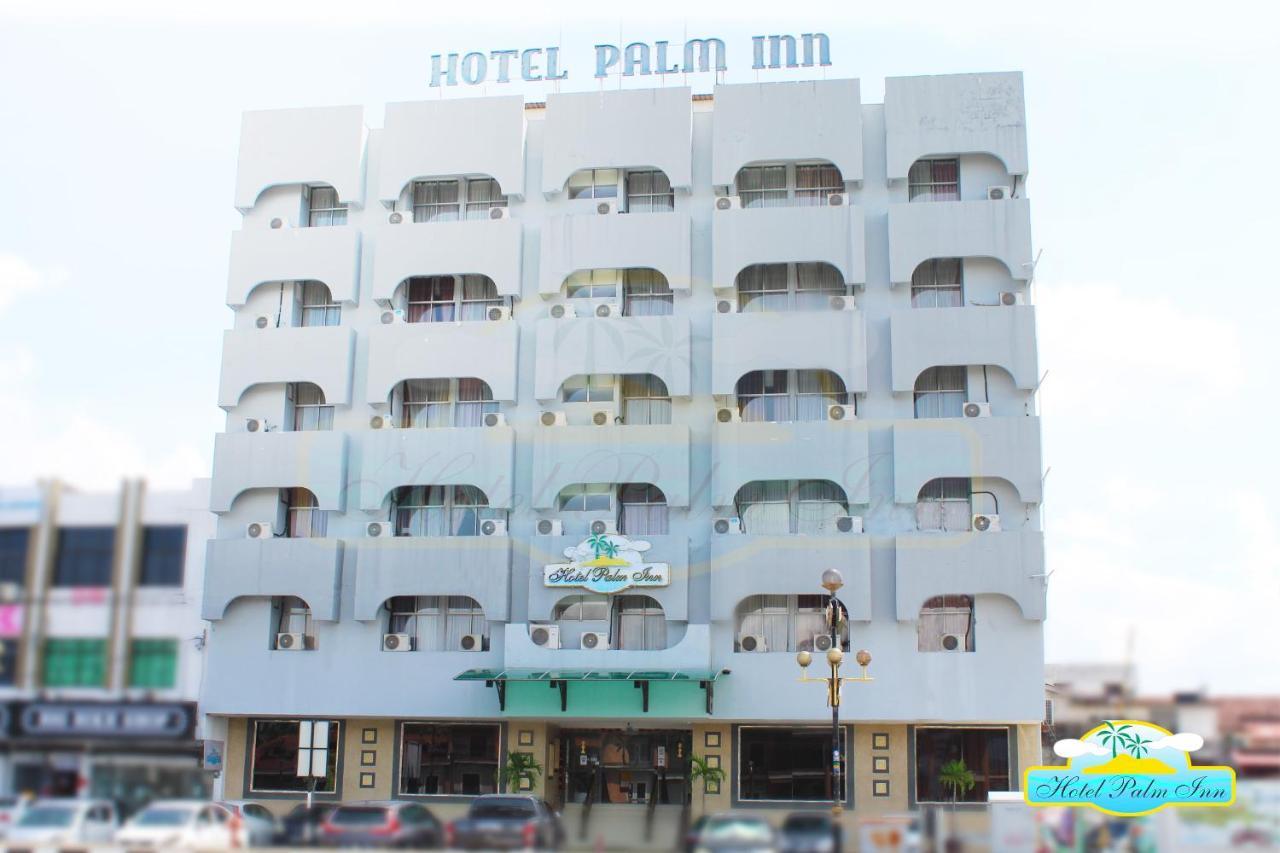 Palm 2*