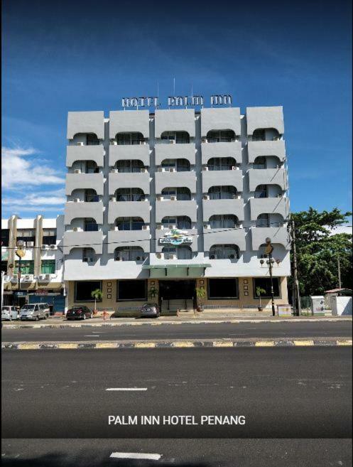 Palm Butterworth